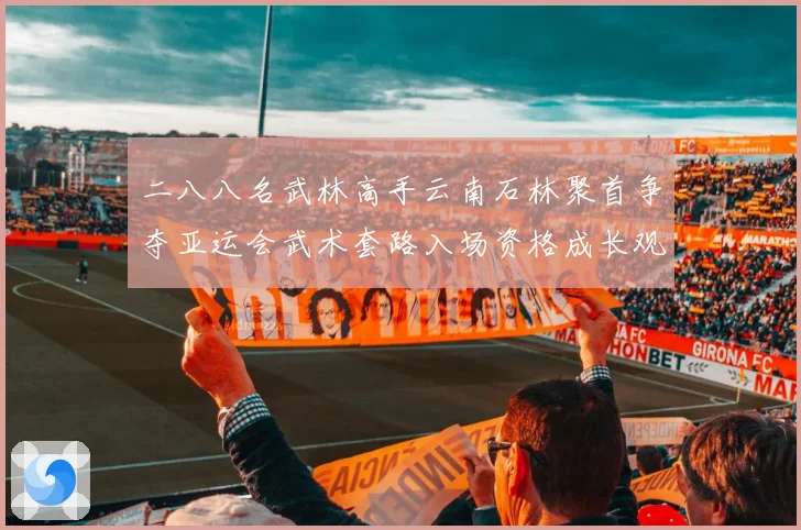 二八八名武林高手云南石林聚首争夺亚运会武术套路入场资格成长观察