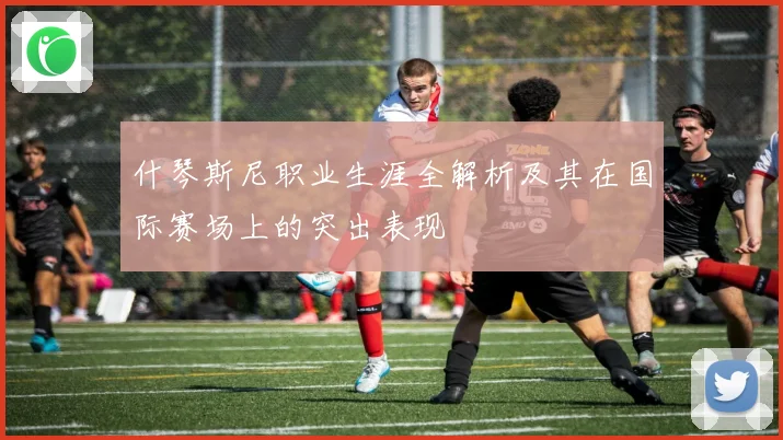 什琴斯尼职业生涯全解析及其在国际赛场上的突出表现
