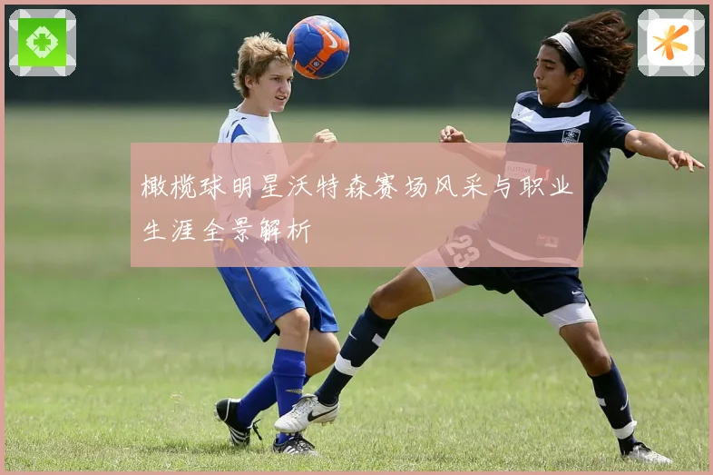 橄榄球明星沃特森赛场风采与职业生涯全景解析