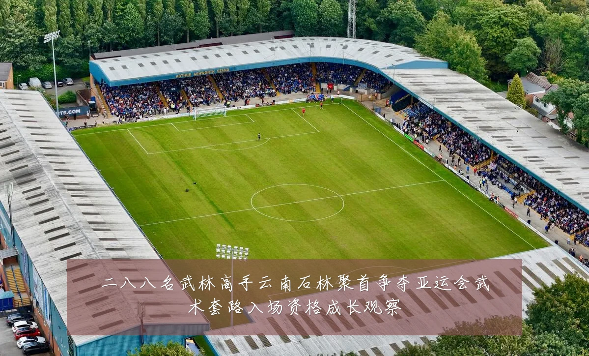 二八八名武林高手云南石林聚首争夺亚运会武术套路入场资格成长观察