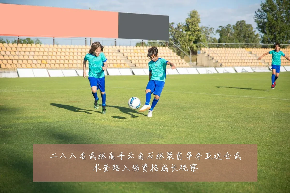 二八八名武林高手云南石林聚首争夺亚运会武术套路入场资格成长观察
