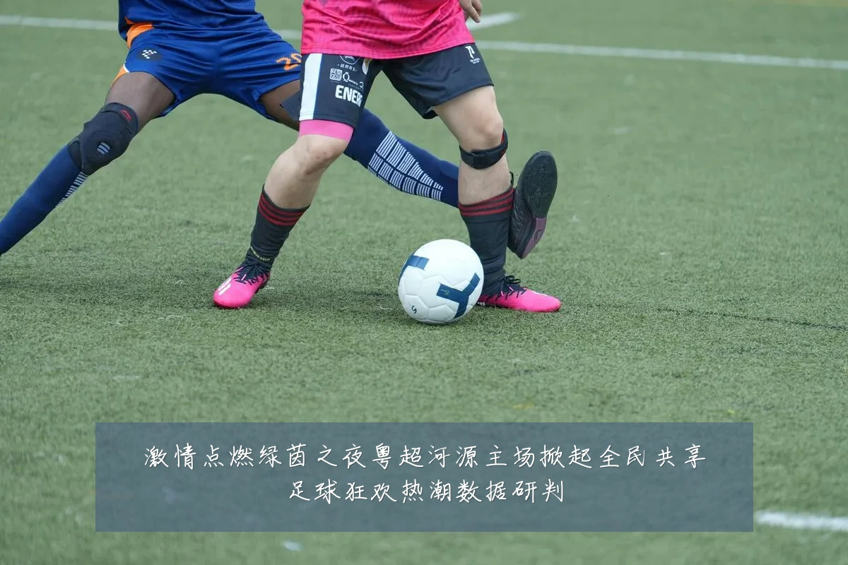 激情点燃绿茵之夜粤超河源主场掀起全民共享足球狂欢热潮数据研判